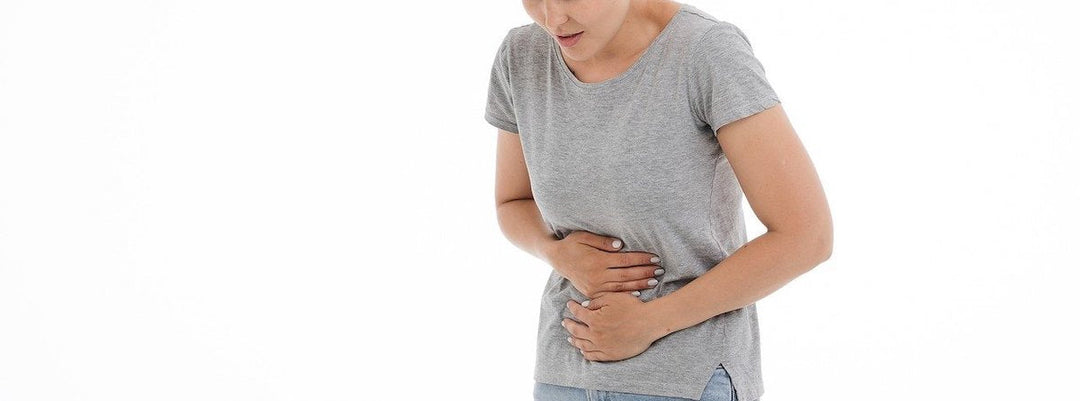 Salud intestinal y su impacto en nuestra salud