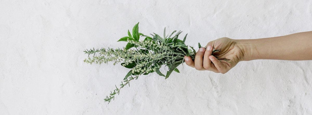 Hildegard Gewürze für Kalbsfußbrühe