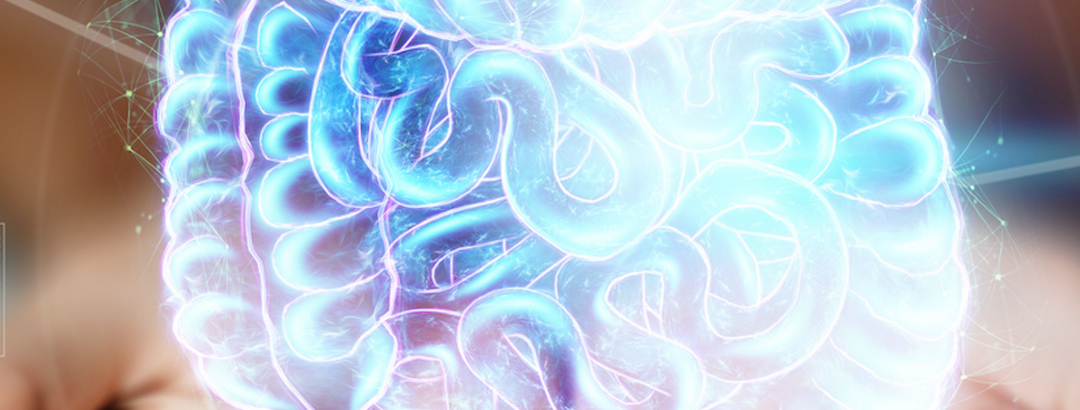 Las 3 pilares de la suplementación intestinal