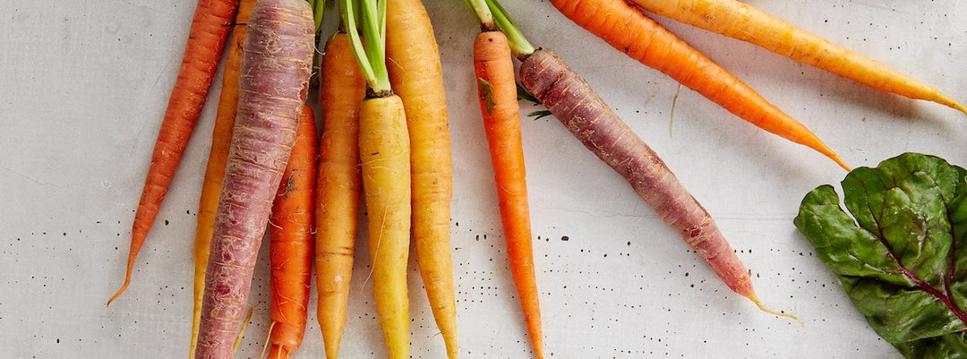 10 consejos para mantener una digestión saludable