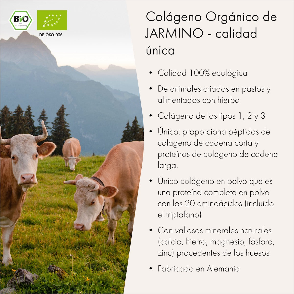 Colágeno orgánico (300g)