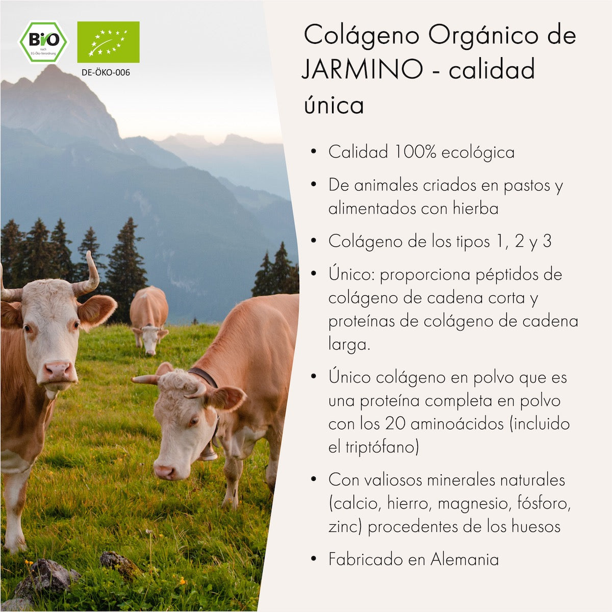 Caldo de huesos en polvo (300g)